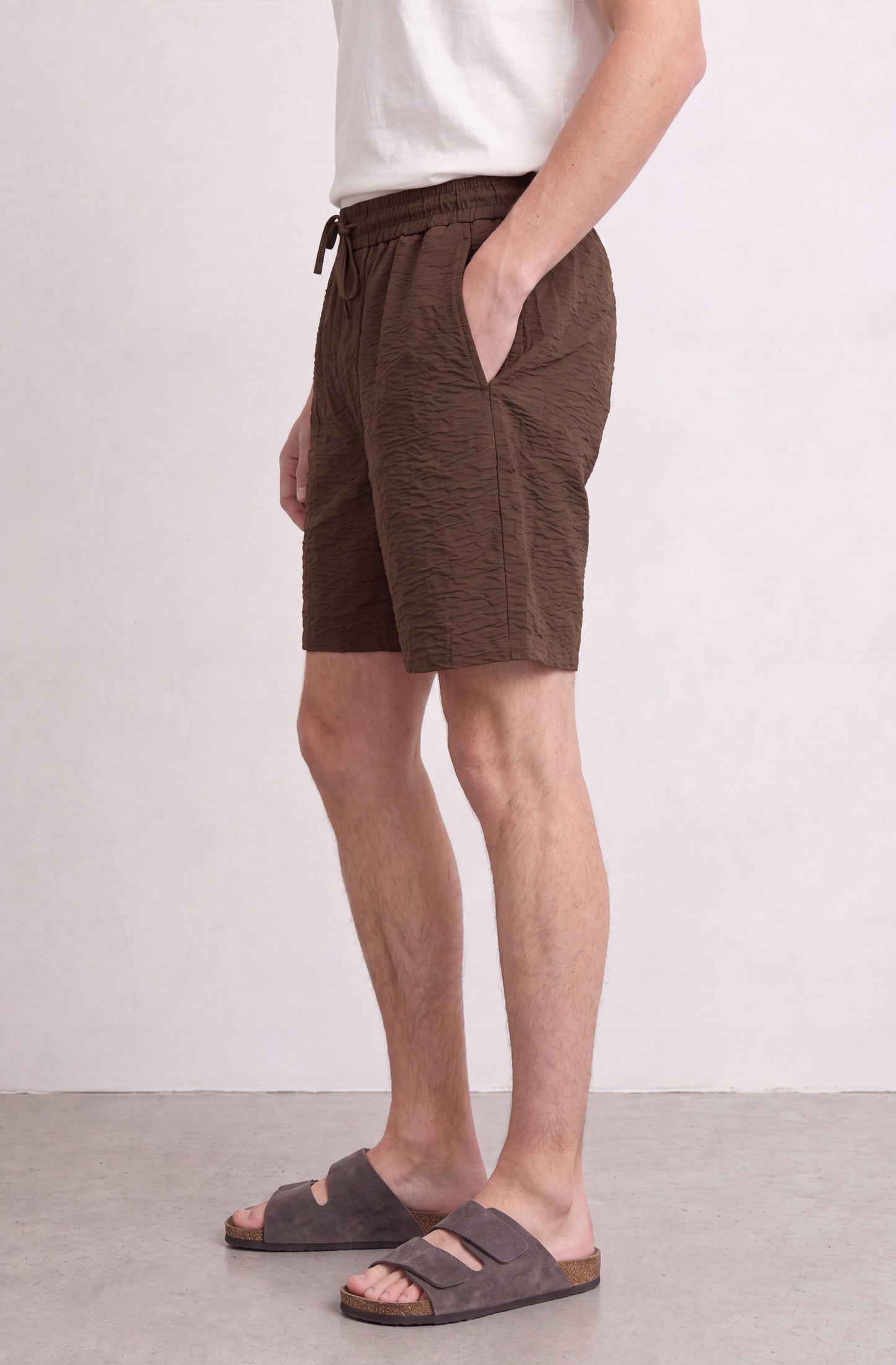 Short Sunrill