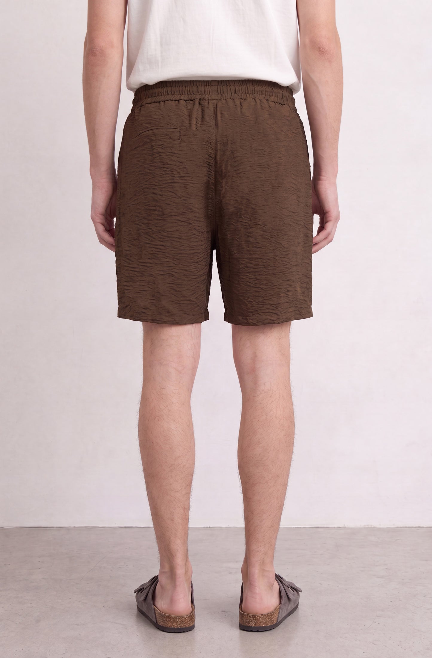 Short Sunrill
